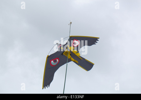 Cerf-volant d'effarouchement des oiseaux, avec beaucoup d'accent sur les yeux, utilisé pour agir comme un dispositif de récolte d'effarouchement sur les pois. Ingham. Le Norfolk. Banque D'Images