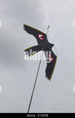 Cerf-volant d'effarouchement des oiseaux, avec beaucoup d'accent sur les yeux, utilisé pour agir comme un dispositif de récolte d'effarouchement sur les pois. Ingham. Le Norfolk. Banque D'Images