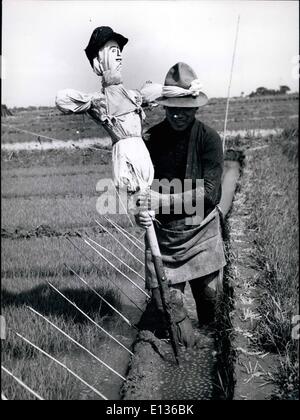 28 févr. 2012 - Un agriculteur japonais met en place un épouvantail pour garder les oiseaux et les mauvais esprits de la jeunes plants dans les champs de riz. Banque D'Images