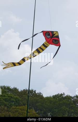 Cerf-volant d'effarouchement des oiseaux, avec beaucoup d'accent sur les yeux, utilisé pour agir comme un dispositif de récolte d'effarouchement sur les pois. Ingham. Le Norfolk. Banque D'Images