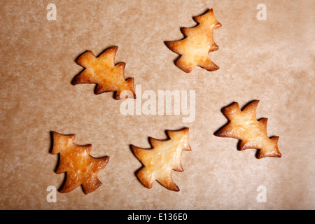 Cinq arbres de Noël sur une tôle à biscuits Banque D'Images