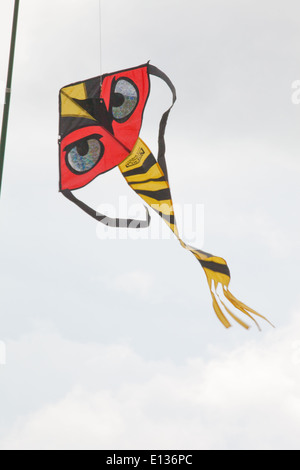 Cerf-volant d'effarouchement des oiseaux, avec beaucoup d'accent sur les yeux, utilisé pour agir comme un dispositif de récolte d'effarouchement sur les pois. Ingham. Le Norfolk. Banque D'Images