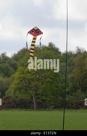 Cerf-volant d'effarouchement des oiseaux, avec beaucoup d'accent sur les yeux, utilisé pour agir comme un dispositif d'effarouchement sur des cultures de pois. Banque D'Images