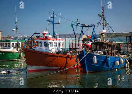 Bateaux de pêche dans le petit port de Cobh, dans le comté de Cork, Irlande Banque D'Images