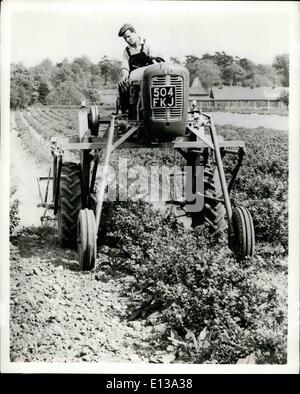 29 février 2012 - Tracteur guindée : un tracteur sur pilotis a fait son apparition en Grande-Bretagne pour activer le hersage entre les rangs de cultures de plus en plus jusqu'à 4 pieds de haut. La conversion d'un simple tracteur peut être effectuée par l'agriculteur lui-même en quatre hourse avec l'aide d'un palan. Calles la Lenfield Flamingo, l'adaptation du tracteur a d'autres paramètres pour les traces de roues de cinq,six ou sept pieds. Photo montre le stitled le tracteur au travail dans la région de gooseberry champ dans le Kent, en Angleterre. Banque D'Images