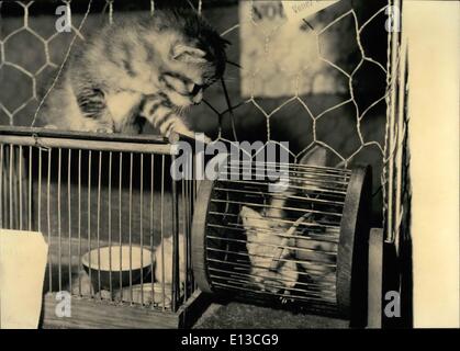 Mars 02, 2012 - Amis ou Ennemis - OPS : Cette amusante coup a été prise à la 15e Paris exposition en cours à la salle Wagram. Le chaton et souris blanche en cage semblent me demande : Sont-ils vraiment les ennemis ou peuvent-ils être amis ? Banque D'Images