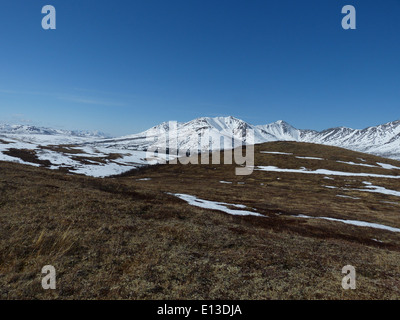 En mai 2013, un relevé des rapaces a été effectué dans les montagnes Kilbuck, situées dans le refuge faunique national du delta du Yukon. L'enquête a utilisé des hélicoptères pour surveiller les populations et les habitats fauniques. Banque D'Images