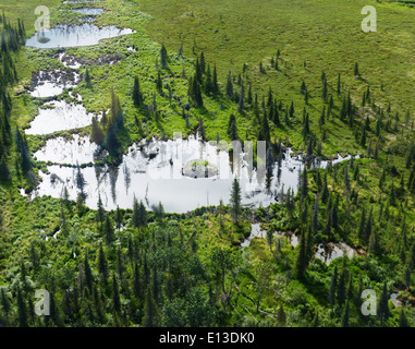 Les zones humides du delta du Yukon NWR Banque D'Images