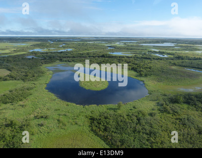 Les zones humides du delta du Yukon NWR Banque D'Images