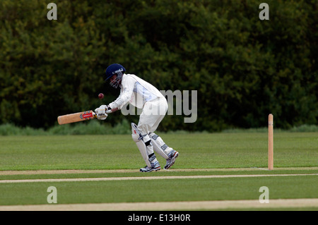 Le sport universitaire, men's cricket à l'Université de Warwick, England, UK Banque D'Images