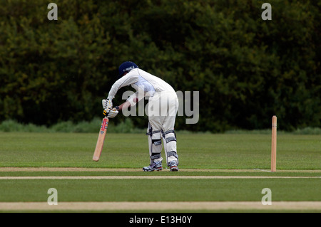 Le sport universitaire, men's cricket à l'Université de Warwick, England, UK Banque D'Images