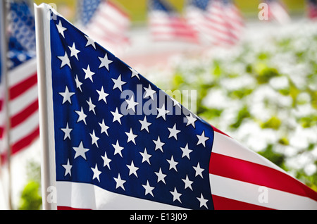 Rangée de drapeaux américains sur la rue le long de parterre, gros plan avec une faible profondeur de champ Banque D'Images