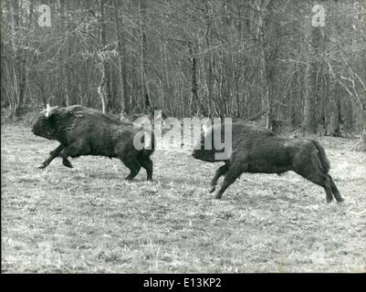 Mars 02, 2012 - Les animaux sauvages errent dans un environnement naturel dans la région de Park 135 km de Paris ... Animaux de diverses espèces sauvages au St.-Hubert, parc de Boutissaint-dans-L'Yonne, sont capables de charger et jouer à volonté dans un environnement plus naturel et avec une plus grande liberté que s'ils étaient confinés dans un zoo. En outre, les visiteurs peuvent obervetheir activités à partir d'une distance sécuritaire le point entier du parc. Banque D'Images