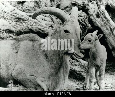 Mere Et Bebe De Chevre Nouveau Ne A Grazalema Cadix Espagne Photo Stock Alamy