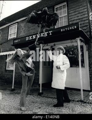 31 mars 2012 - arrêt que eagle : Bugsy, l'aigle impérial de chilham castle, Kent, sait certainement ce qu'il aime quand il sort faire du shopping avec Linda Poole. Un des fauconniers du château. Le prix de la casse (saucisses) continue de progresser mais jamais aussi vite que lorsque l'Bugay eagle eye repéré dans la boutique du boucher local, M. Bennett. Banque D'Images