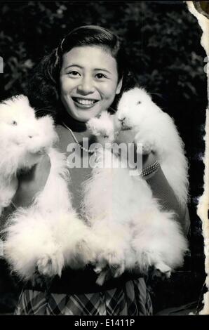 31 mars 2012 - Chandails directement de la Bunny ! : pour l'amour de Dieu, que vont-ils penser à la prochaine étape ? Un Japonais nommé Mlle Yamada, Tomiko a un lapin angora ferme qui alimente la laine doux et moelleux pour weaters. Tomiko parfois tourne le directement à partir de la fourrure de lapin la roue qui patine, et l'obligeant bunny reste assise tranquillement et lui permet de le faire, dans son atelier à Tokyo. Une brassée d'Angora ! : Tomiko Yamada avec un de ses Angoras prix qu'elle races pour leur fourrure. Banque D'Images