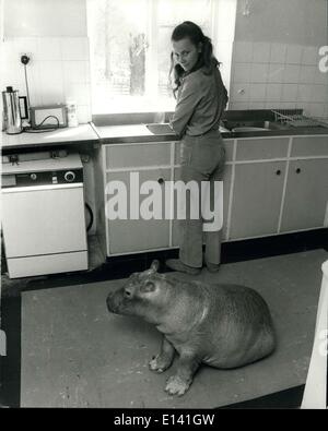31 mars 2012 - un hippopotame dans la maison : la plupart des femmes vont mettre en place avec leurs enfants d'avoir ramené le visage étrange et choix de jouer Banque D'Images