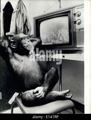 Mar. 31, 2012 - voir en lui-même la T.V : Mickey le chimpanzé, étoile d'une spectaculaire de la glace, apparaît aujourd'hui à Sydney, Australie, a l'avantage de voir lui-même comme d'autres le voir. Son propriétaire, David Cowen a installé une télévision dans sa loge.., couleur de causer, Mickey no Chump, après le spectacle Mickey se trouve heureusement assoupli regardant le nouveau spectacle. Banque D'Images