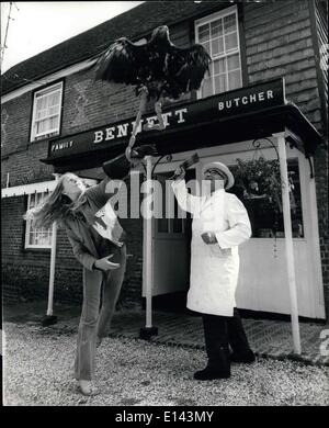 Avril 04, 2012 - arrêter que Bugsy : eagle, l'aigle impérial de Chilham Castle, Kent, sait certainement ce qu'il aime quand il sort faire du shopping avec Lind Poole, l'un des fauconniers adjoint du château. Le prix de la casse (saucisses) continue de progresser mais jamais aussi vite que Quand Bugsy's Eagle Eye repéré dans la boutique du boucher local, M. Bennett. Banque D'Images