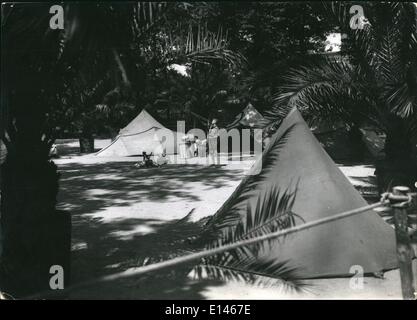 16 avril 2012 - camp de jeunesse hitlérienne sous les palmiers-à Berlin : une grande place dans le zoo de Berlin n'est pas d'être reconnu. Un camp de tentes de la jeunesse d'Hitler a été érigée sous les palmiers, parce que le 1er juillet, une célébration commémorative coloniale aura lieu. photo présente une vue de l'Afrique'' ''rodth Hitler camp. Banque D'Images