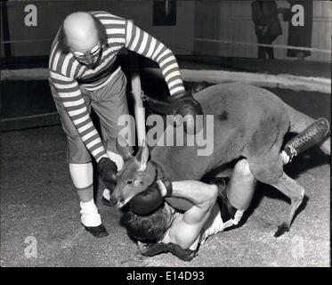 Le 17 avril 2012 - un kangourou est un ancien champion de boxe : Ex-champion de boxe Freddie Mills hier est sorti de sa retraite pour fort exposition correspond à un enfant, et kangourou gantées a été renversé pour le compte. Il s'est passé lors d'une répétition de la Bertram Mills Circus, qui s'ouvre à l'Olympia le mois prochain. Freddie a été terrassé dans les premières minutes, parce qu'il semble que personne n'avait expliqué à George le kangourou, le marquis de Queensberry règles Banque D'Images