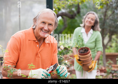 Couple potting plants in greenhouse Banque D'Images