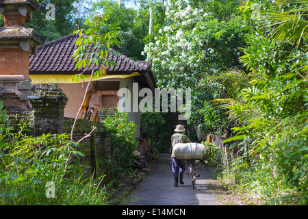 Man pushing bicycle sur chemin tropical Banque D'Images