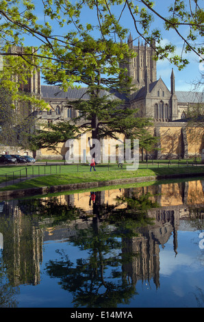 La cathédrale de Wells Somerset reflète dans douves du palais des évêques Printemps Banque D'Images