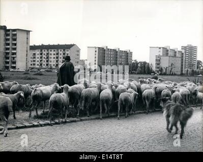 18 avril 2012 - Munich - ses ''vieux'' et ses ''New'' : face à l'Idyl parkstadt Bogenhausen de dans le sud-est de Munich ; les moutons devant Munich's ''kycrapers» Banque D'Images