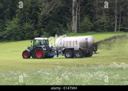 Farmer l'épandage de fumier sur les prés fauchés, Allgäu, Bavière, Allemagne Banque D'Images