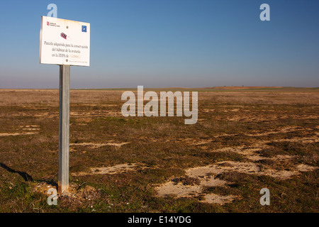 Les lagunes Villafáfila situé au nord-ouest de la province de Zamora. Tierra de Campos. Castilla y Leon. L'Espagne. L'Europe Banque D'Images