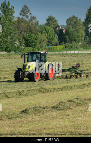 'Tracteur' aviron déjà l'herbe coupée pour le séchage de l'ensilage en champ dans la Loire à la fin du printemps. Banque D'Images