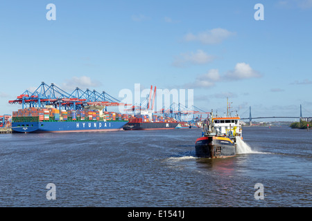 Container Terminal Altenwerder (LTC), pont Koehlbrand, Hambourg, Allemagne Banque D'Images