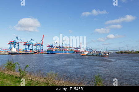 Container Terminal Altenwerder (LTC), pont Koehlbrand, Hambourg, Allemagne Banque D'Images