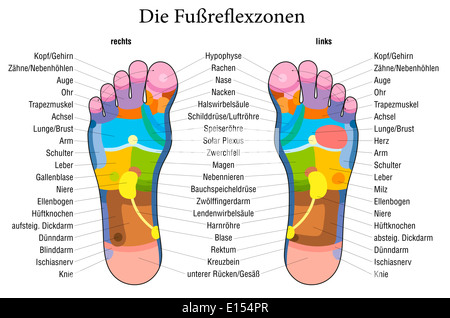 Réflexologie des pieds graphique avec description exacte (marquage en allemand !) des organes internes et les parties du corps. Banque D'Images