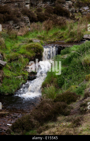 Cascade de la rivière Kinder à Nether Grain Nord Derbyshire UK Kinder du Scoutisme Banque D'Images