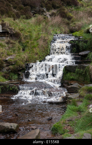 Cascade de la rivière Kinder à Nether Grain Nord Derbyshire UK Kinder du Scoutisme Banque D'Images