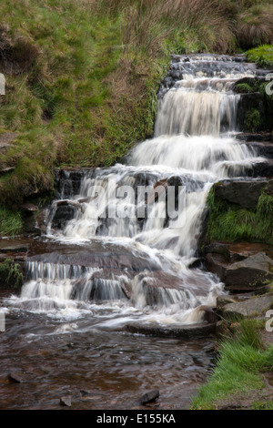 Cascade de la rivière Kinder à Nether Grain Nord Derbyshire UK Kinder du Scoutisme Banque D'Images