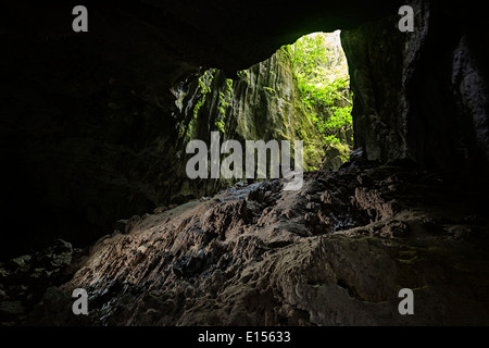 Phytokarst et l'entrée de la grotte, Clearwater Mulu, Malaisie Banque D'Images