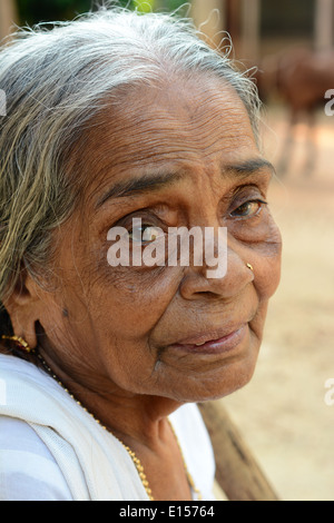 Vieille Femme indienne Banque D'Images