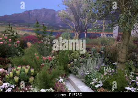 Jardin botanique de Kirstenbosch affichage à RHS Chelsea 2014 Banque D'Images