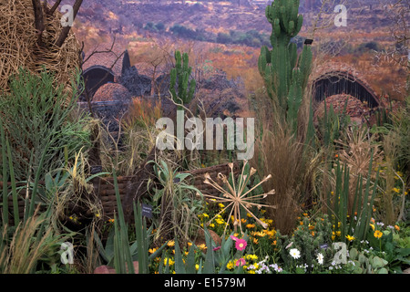 Jardin botanique de Kirstenbosch affichage à RHS Chelsea 2014 Banque D'Images