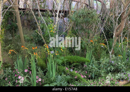 Jardin botanique de Kirstenbosch affichage à RHS Chelsea 2014 Banque D'Images