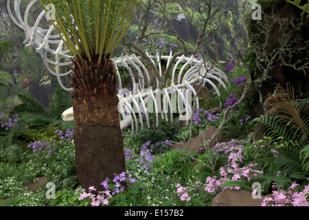 Jardin botanique de Kirstenbosch affichage à RHS Chelsea 2014 Banque D'Images