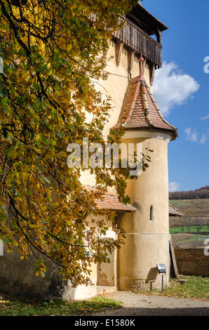 Tour fortifiée Biertan, Transylvanie-détail Banque D'Images