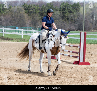 Woman riding Paint horse dans l'anneau de saut à cheval local school show. Banque D'Images