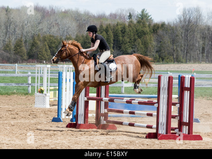 Teenage girl rider sur Chestnut Horse jumping over oxer propagation aller à l'école locale horse show Banque D'Images