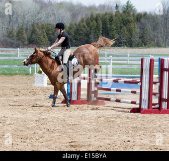 Teenage girl rider sur oxer jump à propager l'enseignement local horse show sur Chestnut Horse sorrel. Banque D'Images