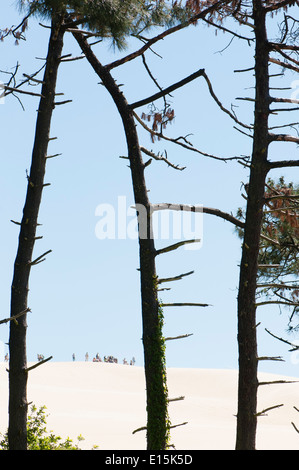 France, Gironde, bassin d'Arcachon (Arcachon). Les visiteurs explorent le haut de la dune du Pyla. Banque D'Images