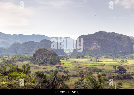 Mogotes en Vallée de Vinales à Cuba. La Vallée de Vinales a été sur la Liste du patrimoine mondial de l'UNESCO depuis novembre 1999 à titre de bien culturel Banque D'Images